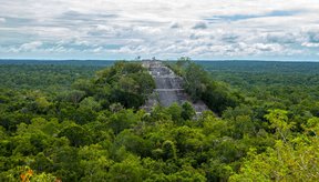 canais-de-pesca-usados-pelos-maias-ha-4-mil-anos-sao-descobertos-em-belize-thumb.png