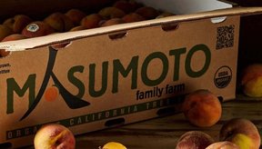 conheca-a-fazenda-que-esta-salvando-frutas-raras-e-sabores-esquecidos-thumb.png