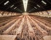 mais-soldados-de-terracota-sao-encontrados-em-sitio-arqueologico-na-china-thumb.png