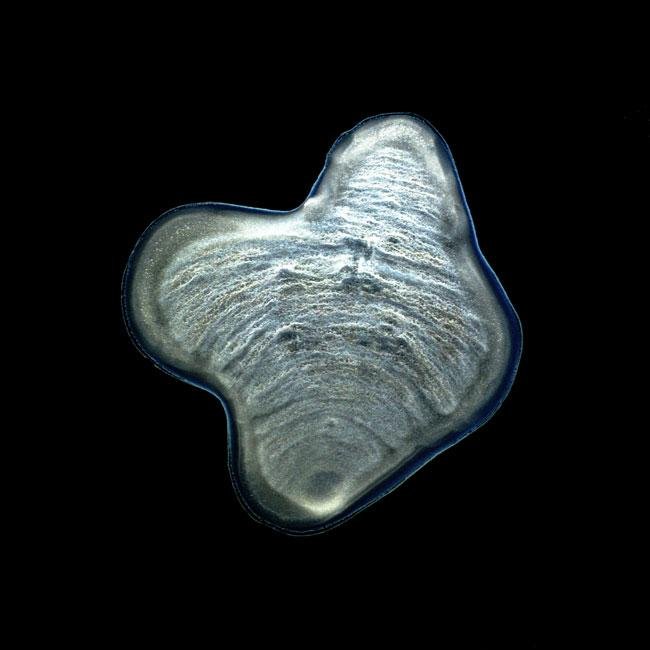 Fotografias transformam restos de whisky em paisagens alienígenas