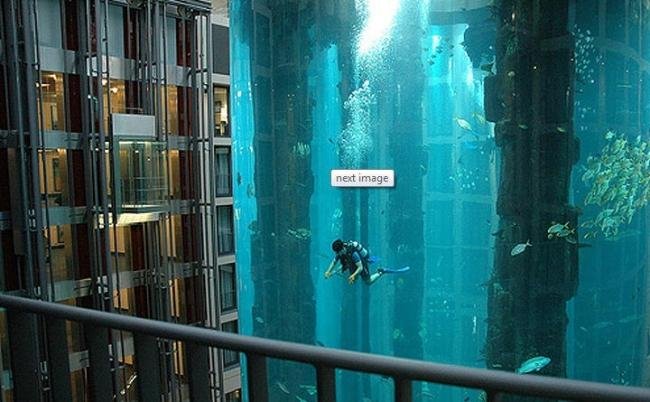 Hotel de Berlin tem aquário gigante com peixes tropicais no lobby