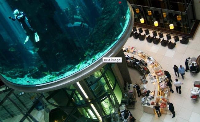 Hotel de Berlin tem aquário gigante com peixes tropicais no lobby