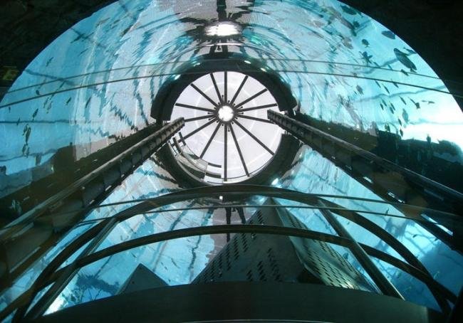 Hotel de Berlin tem aquário gigante com peixes tropicais no lobby