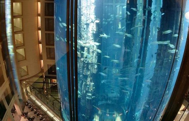 Hotel de Berlin tem aquário gigante com peixes tropicais no lobby