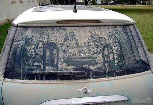 'Lave-me, por favor': confira carros sujos transformados em obras de arte