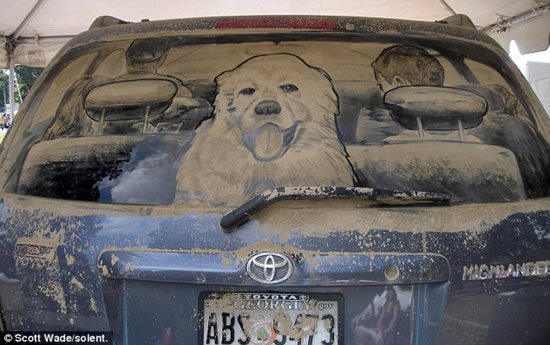 'Lave-me, por favor': confira carros sujos transformados em obras de arte