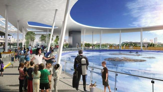 Museu de Miami deve virar parque aquático para tubarões