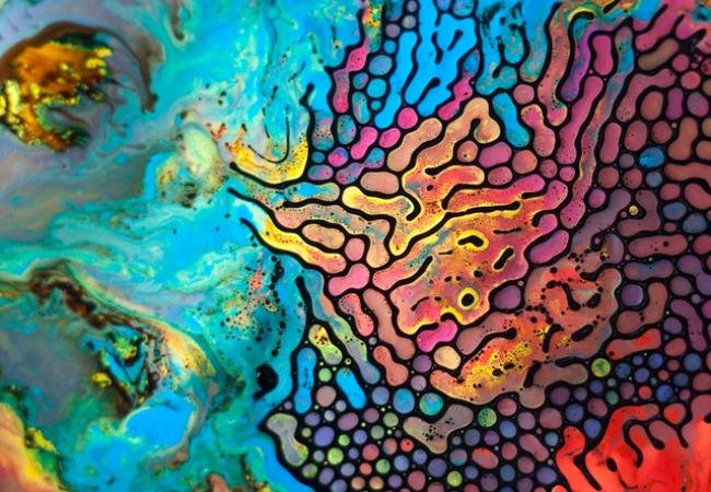 Fotógrafo cria obras de arte com ferrofluido