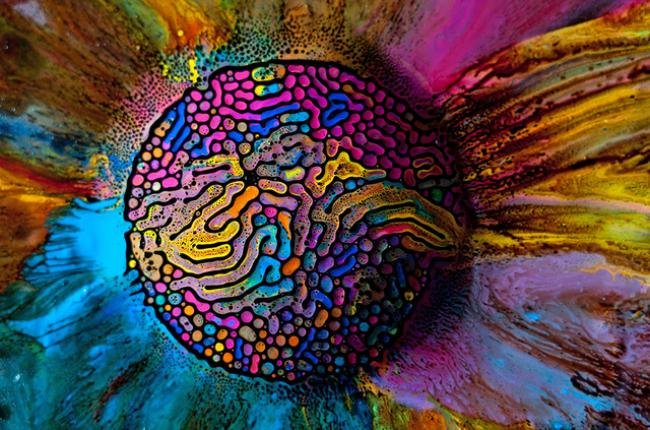 Fotógrafo cria obras de arte com ferrofluido