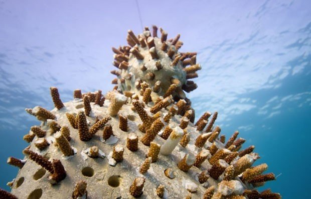 Arte subaquática: mar do Caribe abriga mais de 400 estátuas
