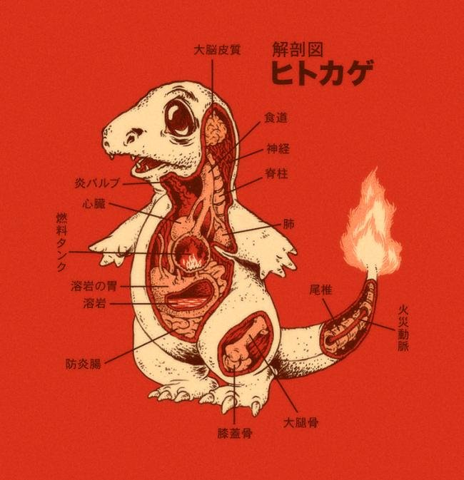 Pokémon: conheça a anatomia de alguns dos principais monstrinhos
