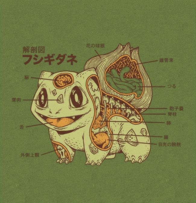 Pokémon: conheça a anatomia de alguns dos principais monstrinhos
