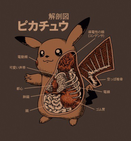 Pokémon: conheça a anatomia de alguns dos principais monstrinhos