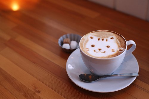 Os cafés mais legais do mundo