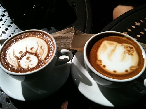 Os cafés mais legais do mundo