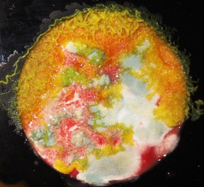Artista utiliza bactérias como matéria-prima