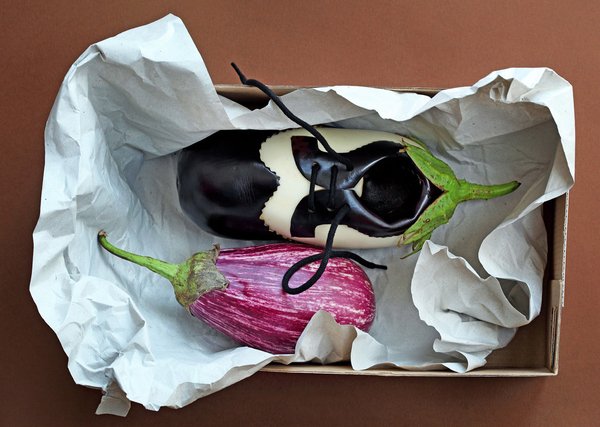 Fotógrafo cria esculturas com comida
