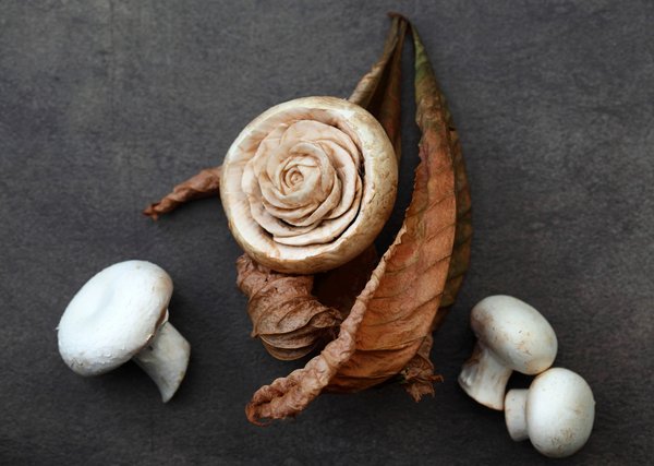 Fotógrafo cria esculturas com comida