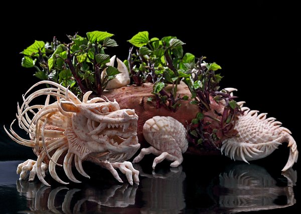 Fotógrafo cria esculturas com comida