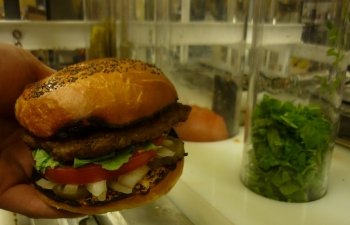 Máquina de fazer hambúrguer produz 400 lanches por hora