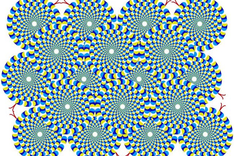 Ilusão de óptica: entenda como funcionam os círculos giratórios - Mega ...