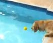 thumb-image-2024-02-29T13:56:53.742Z