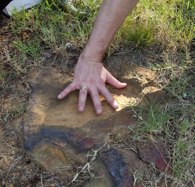 NASA encontra pegadas de dinossauro em centro espacial