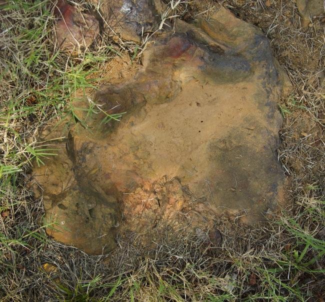 NASA encontra pegadas de dinossauro em centro espacial