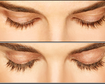 thumb-image-2024-02-29T13:59:41.621Z