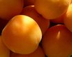 thumb-image-2024-02-29T13:59:42.936Z