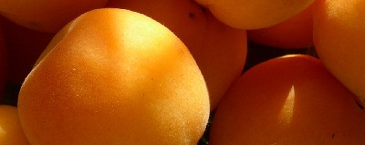 thumb-image-2024-02-29T13:59:42.936Z