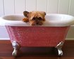 thumb-image-2024-02-29T13:59:43.911Z