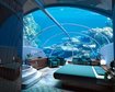 thumb-image-2024-02-29T13:59:44.056Z