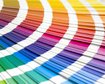 thumb-image-2024-02-29T13:59:45.258Z