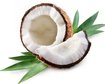 thumb-image-2024-02-29T13:59:45.468Z
