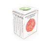 thumb-image-2024-02-29T13:59:45.742Z
