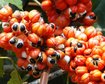 thumb-image-2024-02-29T13:59:45.938Z