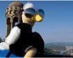 thumb-image-2024-02-29T13:59:46.809Z