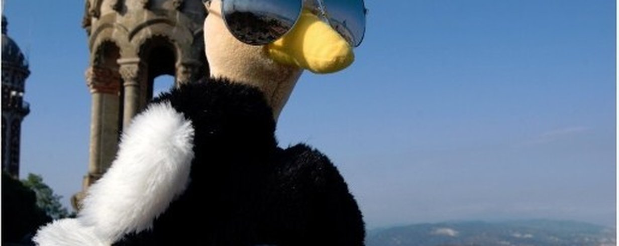 thumb-image-2024-02-29T13:59:46.809Z
