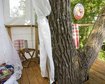 thumb-image-2024-02-29T13:59:48.005Z