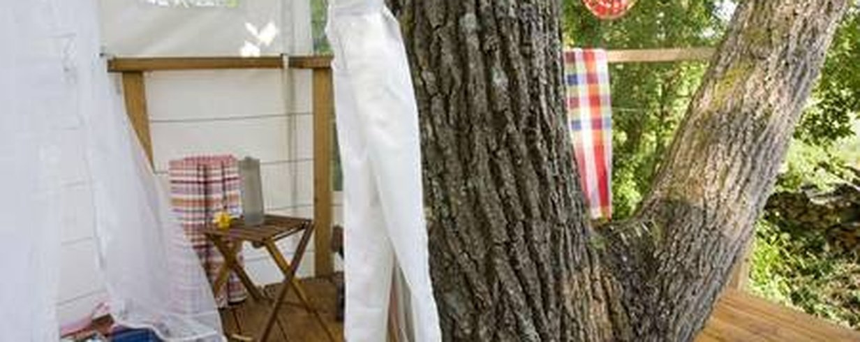 thumb-image-2024-02-29T13:59:48.005Z