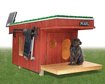 thumb-image-2024-02-29T13:59:49.795Z