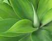 thumb-image-2024-02-29T13:59:50.931Z