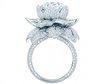thumb-image-2024-02-29T13:59:51.558Z