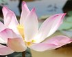 thumb-image-2024-02-29T13:59:51.871Z