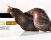 thumb-image-2024-02-29T13:59:52.776Z