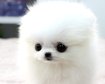 thumb-image-2024-02-29T13:59:53.101Z