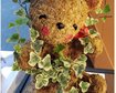 thumb-image-2024-02-29T13:59:55.952Z