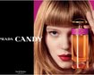 thumb-image-2024-02-29T13:59:56.188Z