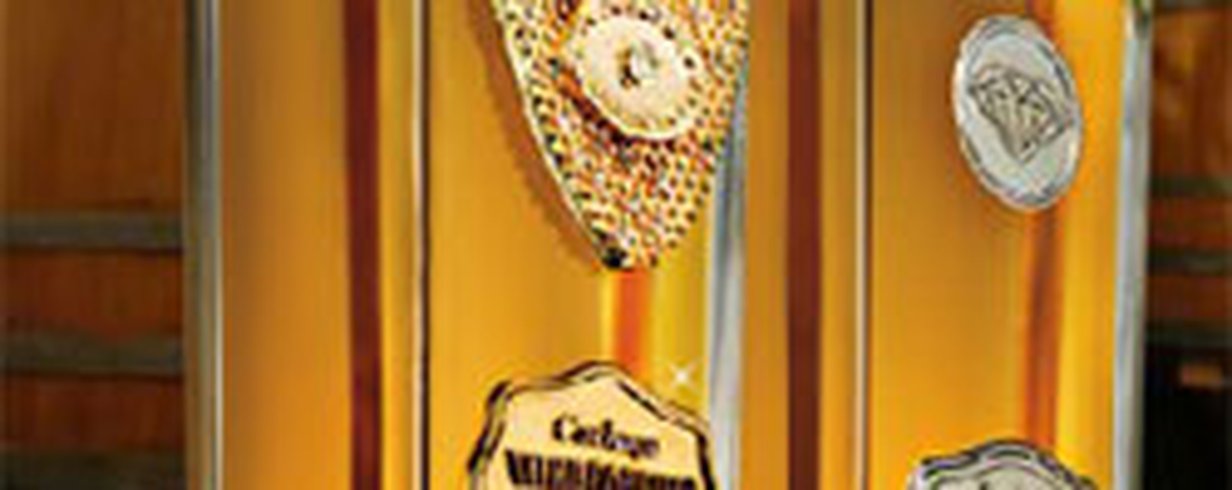 thumb-image-2024-02-29T14:00:05.345Z